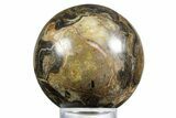 Polished Stromatolite (Greysonia) Sphere - Bolivia #355391-1
